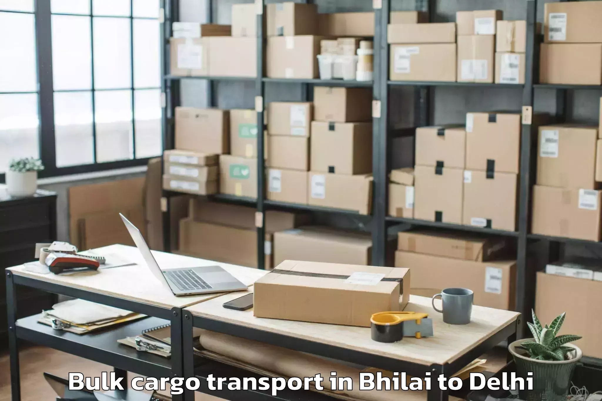 Trusted Bhilai to Alipur Bulk Cargo Transport